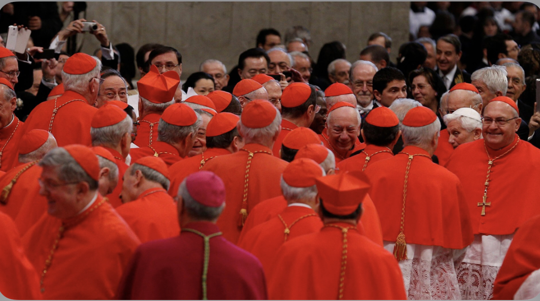 Các Hồng y tập hợp trước khi khai mạc Công nghị vào năm 2014 tại Vatican. Hôm Chúa nhật ngày 29 tháng 5 năm 2022, Đức Thánh Cha Phanxicô đã công bố rằng ngài sẽ bổ nhiệm 21 tân Hồng y vào tháng 8; 16 vị dưới 80 tuổi bao gồm Đức Giám mục Robert W. McElroy Địa phận San Diego (Ảnh: Paul Haring / CNS)