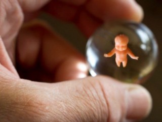 COMECE nhắc lại lời kêu gọi đối với quyền được sống của trẻ em chưa chào đời