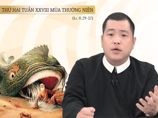 Thay Tung T2