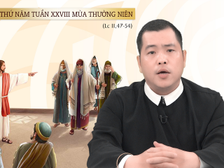 Thay Tung T5