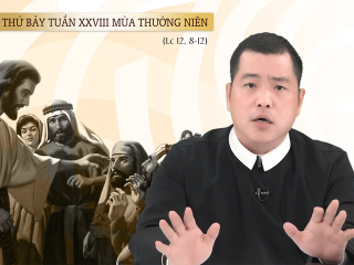 Thay Tung T7
