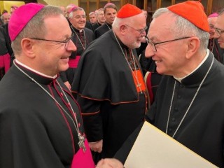 Đức Hồng y  Pietro Parolin,  Quốc Vụ Khanh Tòa Thánh, bắt tay Đức Giám mục Georg Bätzing Địa phận Limburg, Chủ tịch Hội đồng Giám mục Đức, tại Vatican, thứ Sáu, ngày 18 tháng 11 năm 2022 (Ảnh: Hội đồng Giám mục Đức)
