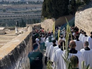 Chúa Nhật Lễ Lá tại Giêrusalem (Ảnh: AIN)