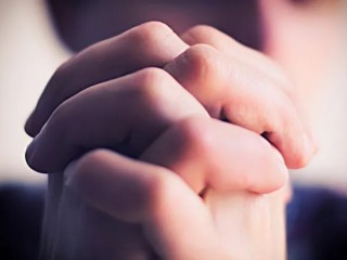 Ảnh: Champion studio/ www.shutterstock.com.