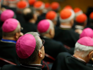 Các Giám mục và Hồng y tham gia một phiên làm việc trong cuộc họp của Thượng Hội đồng Giám mục (Ảnh: Paul Haring/CNS)