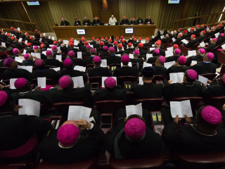 Các Giám mục tham dự Thượng hội đồng gia đình năm 2015 tại Rôma. © Mazur/catholicnews.org.uk.