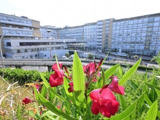 Quang cảnh bên ngoài Bệnh viện Gemelli, Rôma vào ngày 8 tháng 6 năm 2023, nơi Đức Thánh Cha Phanxicô đã nhập viện sau ca phẫu thuật thoát vị bụng vào ngày 7 tháng 6 (Ảnh: ALBERTO PIZZOLI/AFP qua Getty Images)