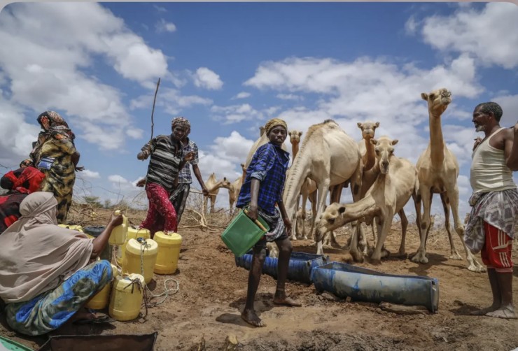 Những người chăn nuôi đối phó với hậu quả của tình trạng hạn hán ở Kenya vào tháng 10 năm 2021 (Ảnh: Brian Inganga/AP)