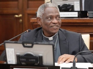 Đức Hồng Y Peter Turkson, Chưởng ấn của Hàn lâm viện Toà Thánh về Khoa học (Ảnh: Vatican  News)