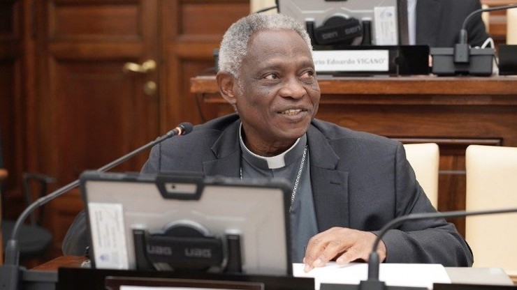 Đức Hồng Y Peter Turkson, Chưởng ấn của Hàn lâm viện Toà Thánh về Khoa học (Ảnh: Vatican  News)