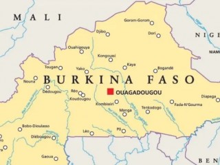 (Ảnh:  Peter Hermes Furian/ Shutterstock)