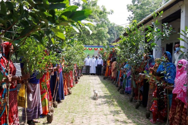 Một quan chức Giáo hội phân phát cây xanh cho giáo dân ở quận Satkhira ven biển (Ảnh: Stephan Uttom Rozario)