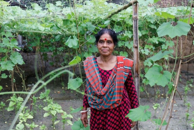 Bà Latika Mandal, 60 tuổi, bảo tồn các giống bản địa và trồng chúng ở sân sau. Bà có khoảng 150 loại hạt giống rau bản địa. Bây giờ cô đáp ứng nhu cầu của mình bằng cách bán hạt giống trên thị trường (Ảnh: Stephan Uttom Rozario)
