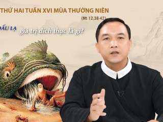CHA THẮNG T2