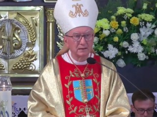 Đức Hồng Y Pietro Parolin, Quốc Vụ Khanh Tòa Thánh, chủ sự Thánh lễ tại Đền thánh Đức Mẹ Berdychiv ở Ukraine (Ảnh: Vatican News)
