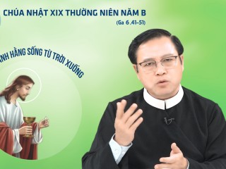 cha Tu CN