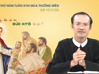 cha Vuong T5