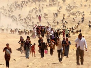 Người Yazidi di tản chạy trốn bạo lực từ lực lượng trung thành với Nhà nước Hồi giáo ở Sinjar năm 2014 (Ảnh: Vatican News)