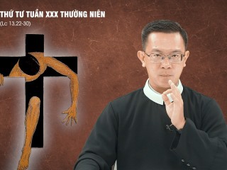 THỨ TƯ-EDIT.mp4_snapshot_03.02.882