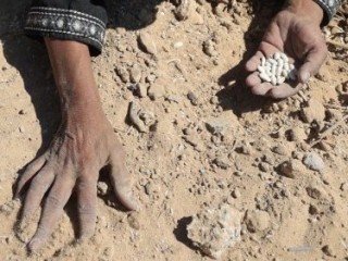 Một phụ nữ Palestine đang bới tìm nhữn hạt đậu trên cát (Ảnh:  AFP)