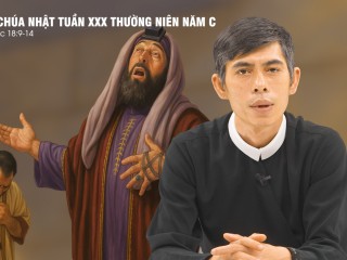 ck-cn