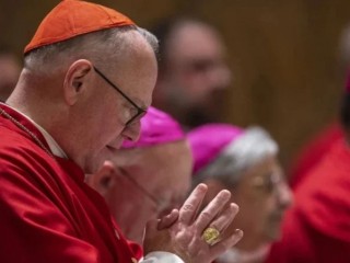 Đức Hồng y Timothy Dolan, nguyên Tổng Giám mục Địa phận New York (Ảnh: Daniel Ibanez/ EWTN News)