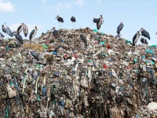 primopiano_21490 (2)