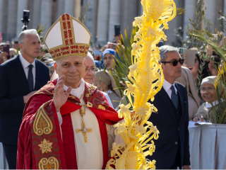 Đức Thánh Cha Lêô XIV tham dự cuộc rước  truyền thống vào Chúa nhật Lễ Lá tại Quảng trường Thánh Phêrô, Vatican vào ngày 29 tháng 3 năm 2026 (Ảnh: Daniel Ibáñez/ EWTN)