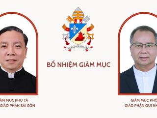 Bổ nhiệm GM