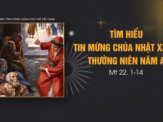 TIN MỪNG CHÚA NHẬT - ẢNH BÌA